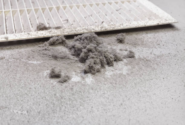 Best HVAC Duct Inspection Services  in Shafer, MN