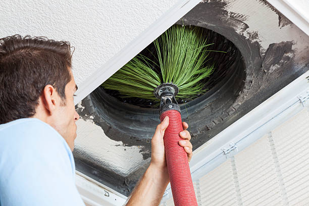 Best Air Vent Cleaning Services  in Shafer, MN