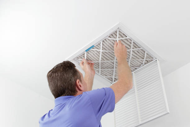 Best Air Duct Cleaning Near Me  in Shafer, MN